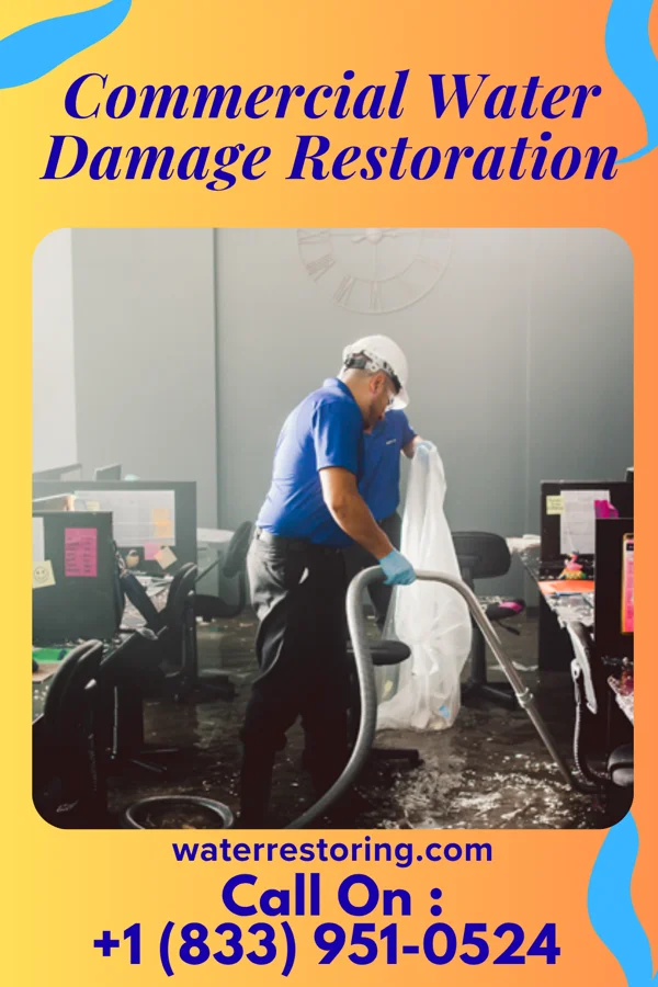 Commercial Water Damage Restoration in Agua Dulce, TX