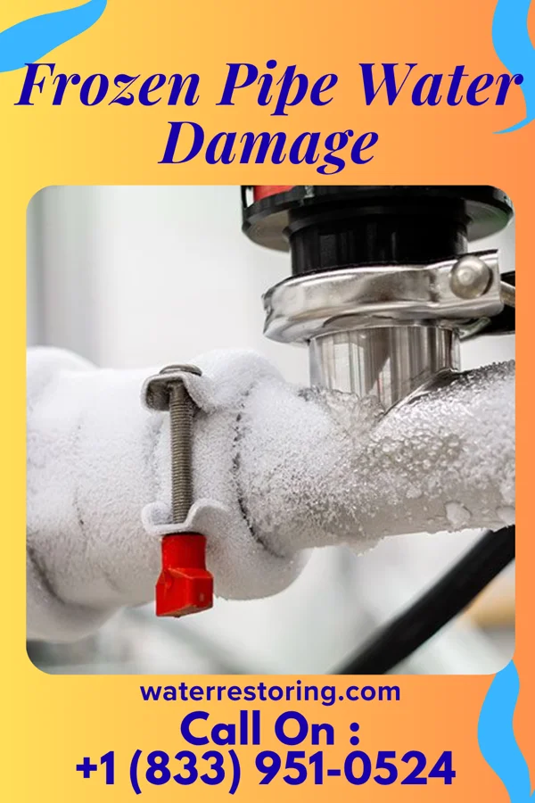 Frozen Pipe Water Damage in Agua Dulce, TX
